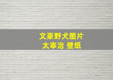 文豪野犬图片 太宰治 壁纸